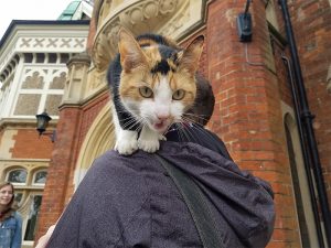 cat on students shoulders while on a trip to bletchley park