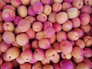 locally grown peaches in caen france