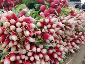 locally grown radishes in caen france